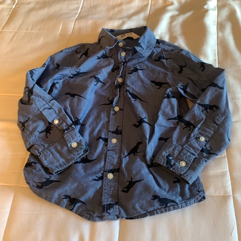 Great Used Condition, H&M Long Sleeve Dinosaur Button-Down!
